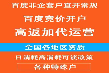 SEM托管公司案例分析：数据驱动决策
